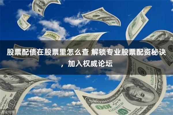 股票配债在股票里怎么查 解锁专业股票配资秘诀，加入权威论坛